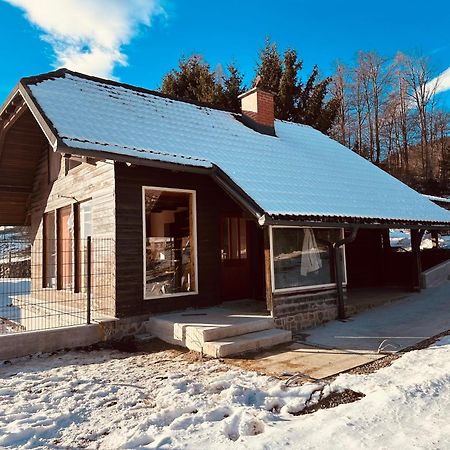 Chalet Pjagodic 戈雷尼斯卡地区采尔克列 外观 照片