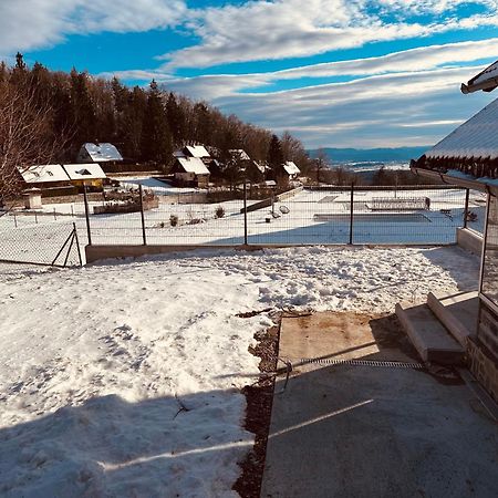 Chalet Pjagodic 戈雷尼斯卡地区采尔克列 外观 照片