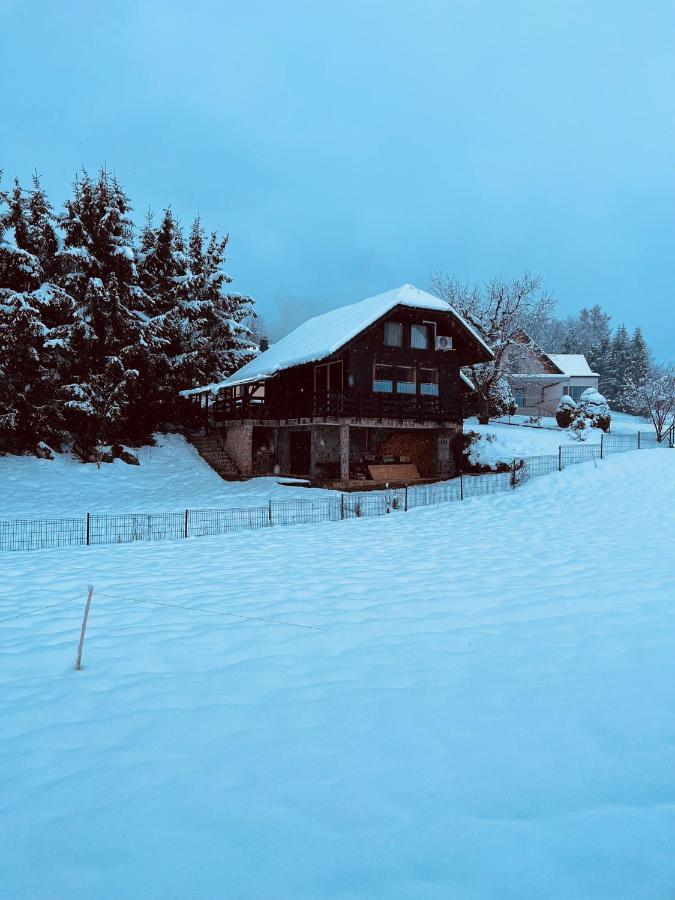 Chalet Pjagodic 戈雷尼斯卡地区采尔克列 外观 照片