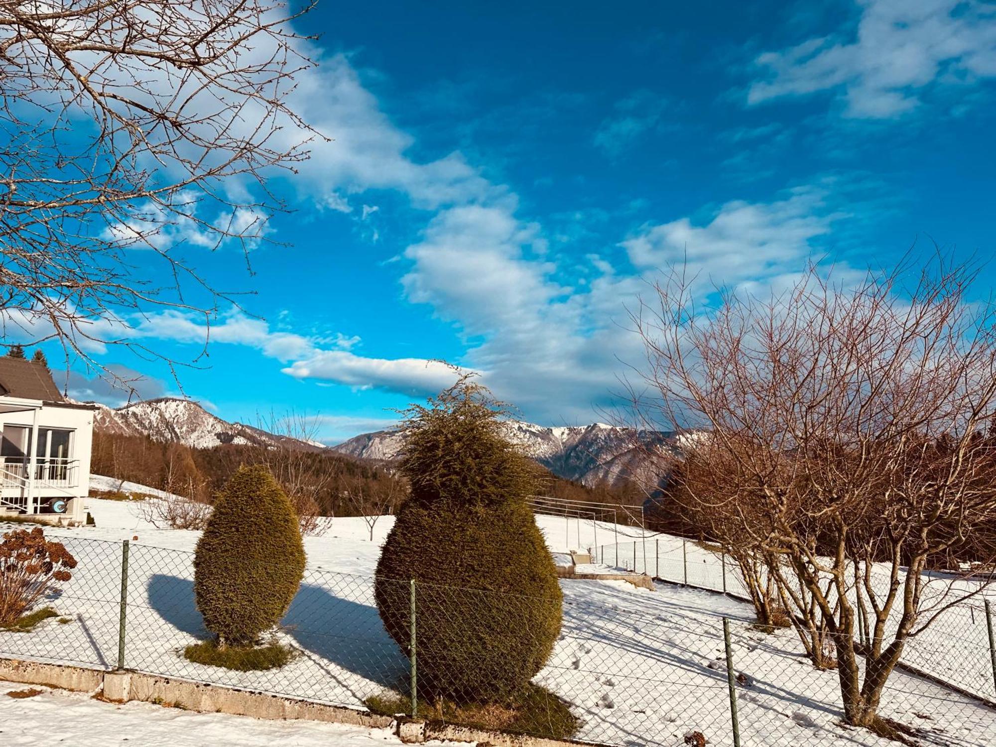 Chalet Pjagodic 戈雷尼斯卡地区采尔克列 外观 照片